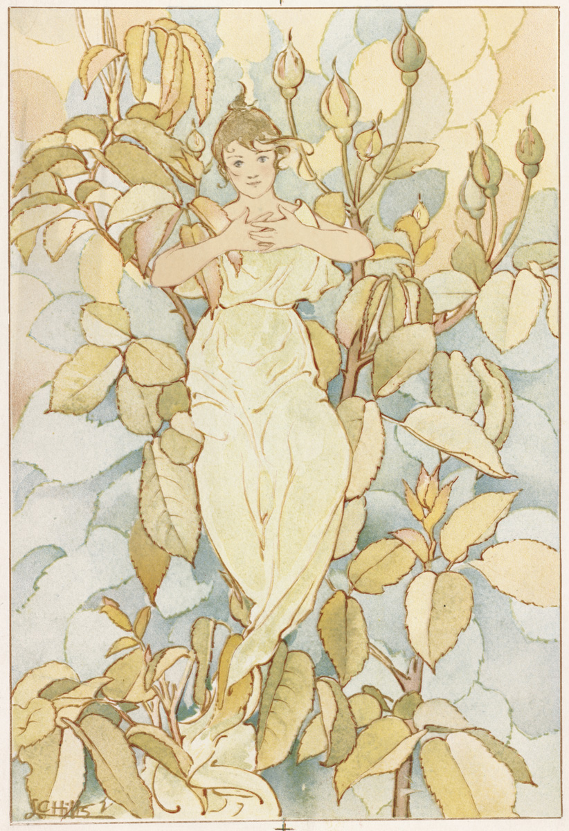 https://commons.wikimedia.org/wiki/File:Flower_Fairy_3_(Boston_Public_Library).jpg